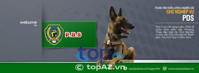 Academy For Happy Puppies - Nơi ươm mầm tài năng cho những chú chó nghiệp vụ