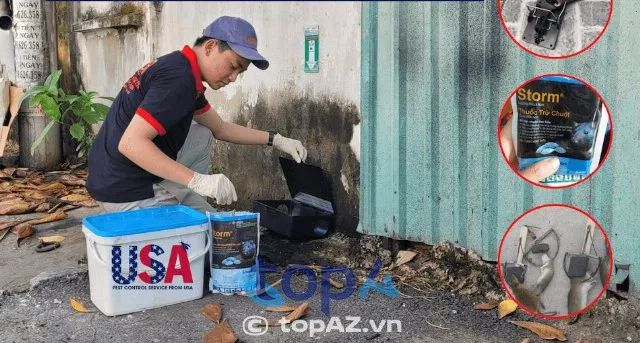Hanoi Pest Control - Thương hiệu diệt chuột uy tín bậc nhất Hà Nội