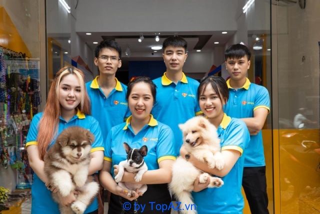 Trải nghiệm mua chó cảnh đẳng cấp tại Siêu Pet