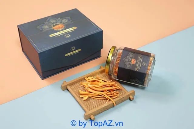 Địa chỉ vàng mua đông trùng hạ thảo chuẩn chất tại TP.HCM
