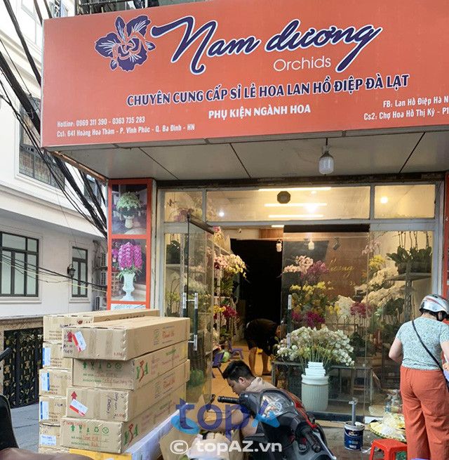 Khám phá địa chỉ vàng cung cấp lan hồ điệp chất lượng tại quận Ba Đình