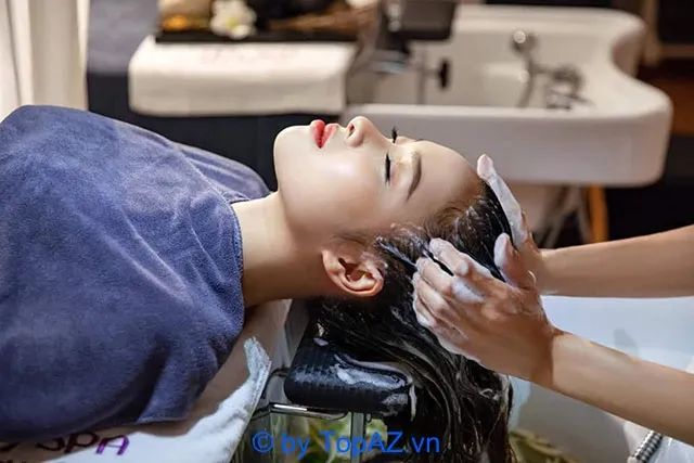 Dịch vụ gội đầu thảo dược dưỡng sinh uy tín tại quận 12