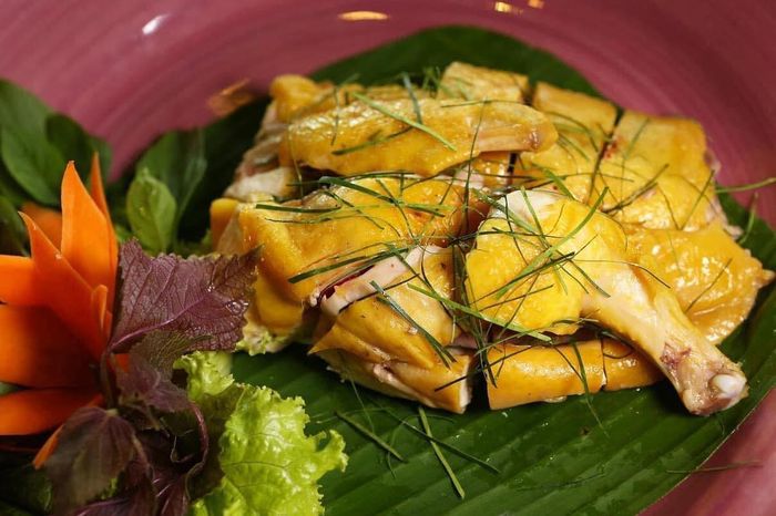 Gà Chương ảnh 1