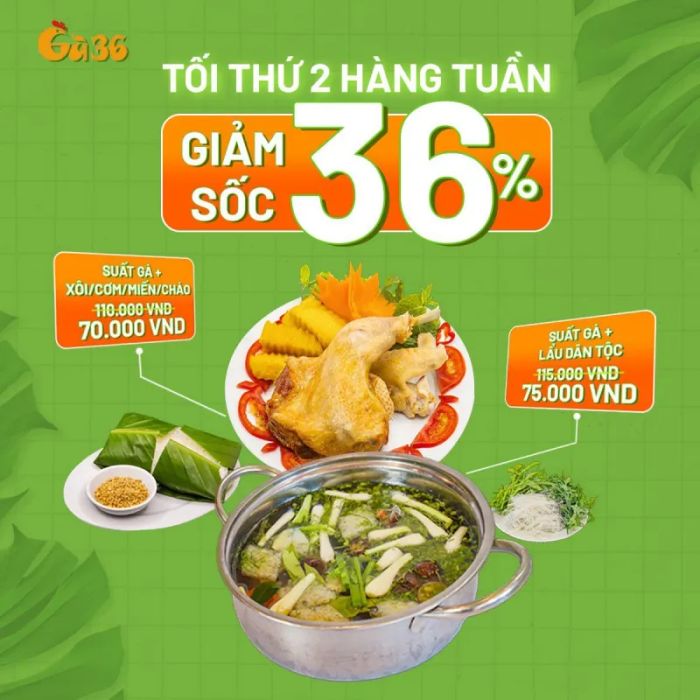 Gà36 ảnh 2