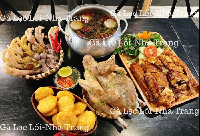 GÀ LẠC LỐI ảnh 2