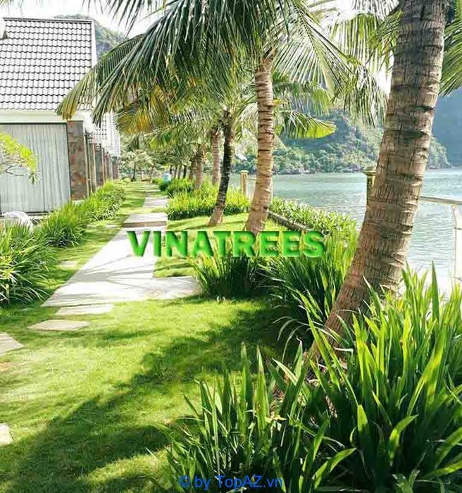 Đơn vị thi công cảnh quan chuẩn sinh thái tại Thủ đô