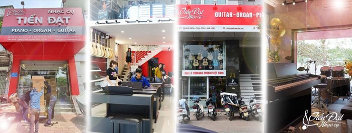 Showroom trưng bày đàn violin tại Nhạc Cụ Tiến Đạt