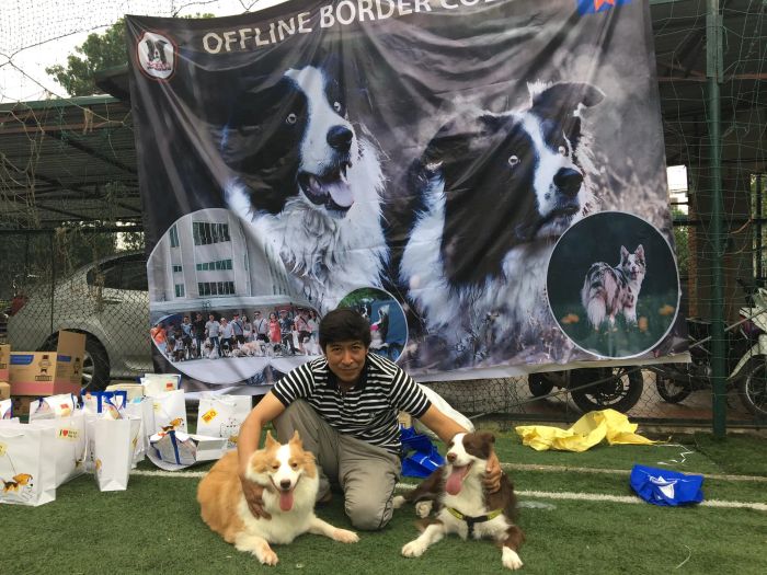 Tuấn Anh Border Collie ảnh 1