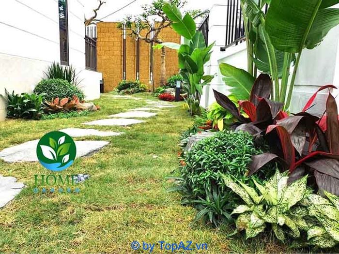 Home Garden - Đơn vị kiến tạo không gian xanh chuẩn phong cách tại Hà Nội