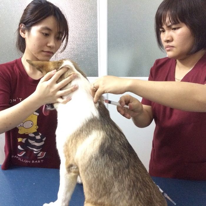 Không gian hiện đại tại Phòng Khám Thú Y Happy Pet