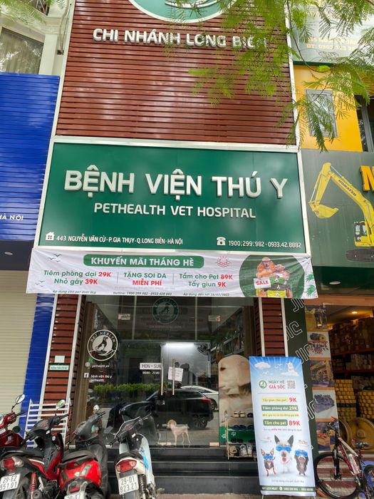 Không gian khám chữa bệnh chuyên nghiệp tại PetHealth Long Biên