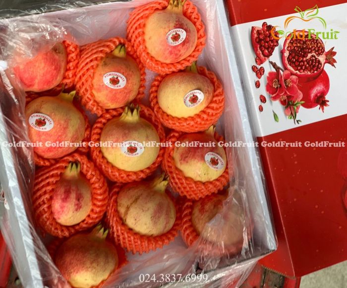 Gold Fruit ảnh 2