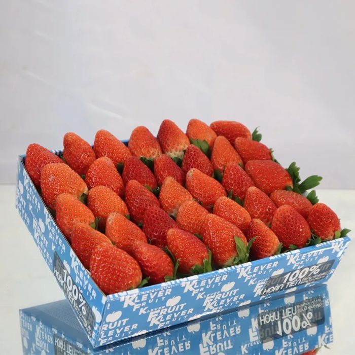 Kho trái cây nhập khẩu đạt chuẩn tại Klever Fruits