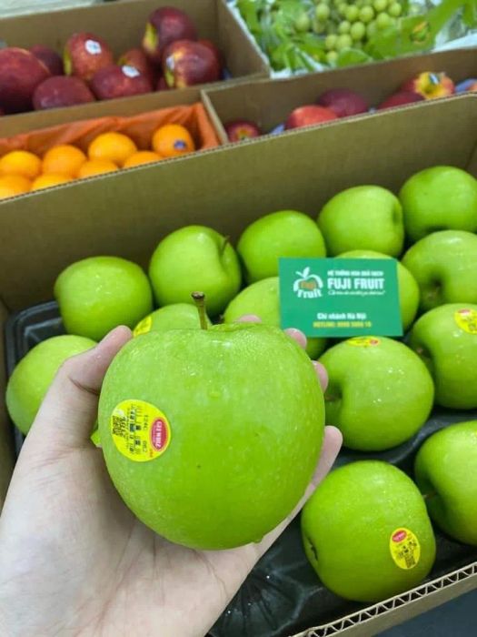 Hệ thống kho lạnh công nghệ CAS tiên tiến tại FUJI FRUIT