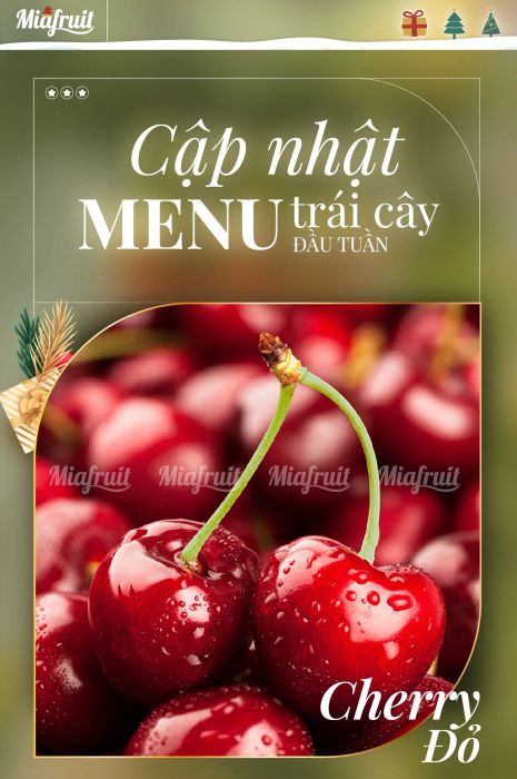 Không gian trưng bày sang trọng tại Mia Fruit