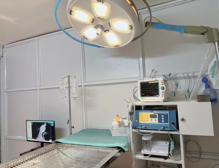 Hình ảnh không gian hiện đại tại Bệnh Viện Thú Y Pet Share