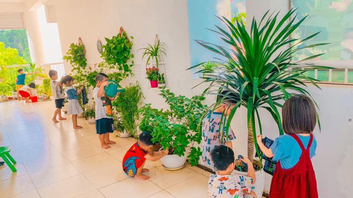 Trường Mầm Non Bát Tràng ảnh 2