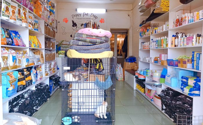 Hình ảnh phòng khám Poppy Pet - không gian chăm sóc thú cưng đẳng cấp