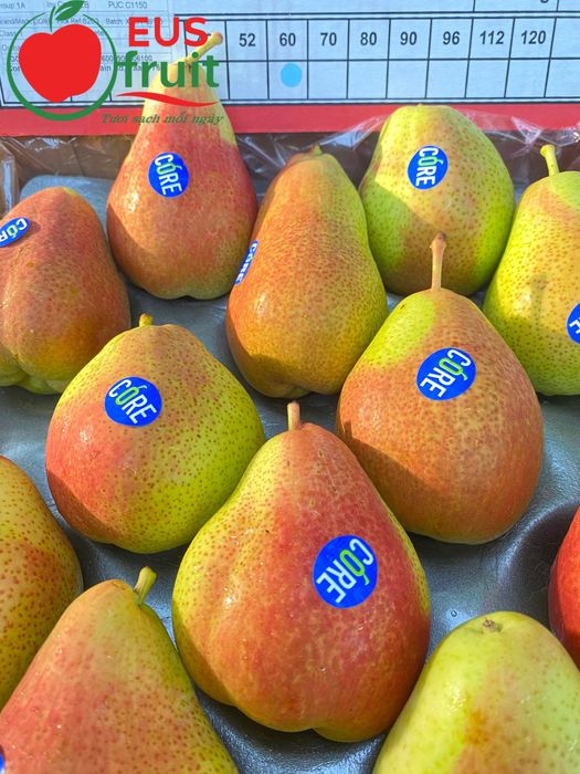 EUS Fruit hình ảnh 2