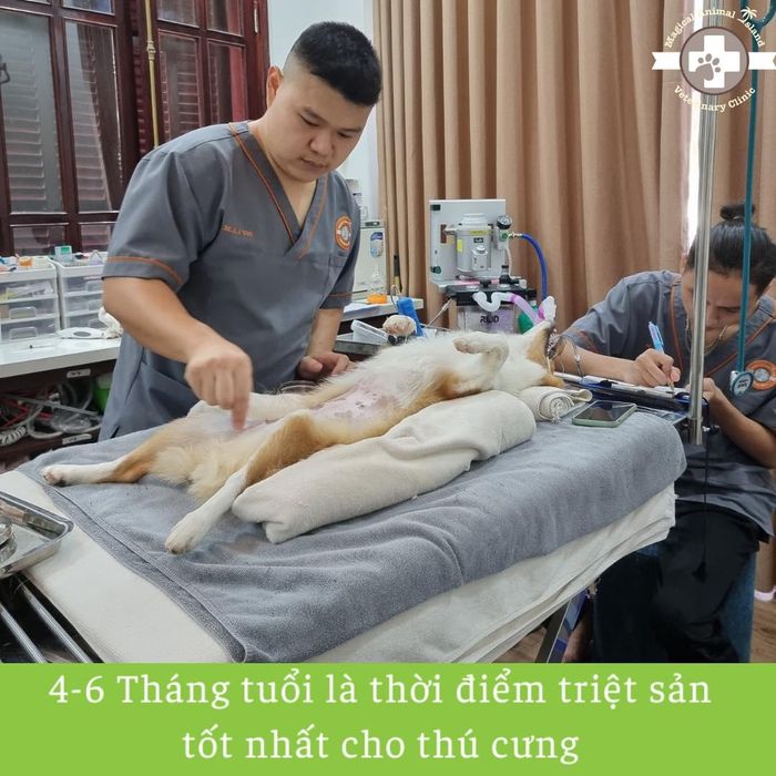 Hình ảnh đội ngũ bác sĩ chuyên nghiệp tại M.A.I