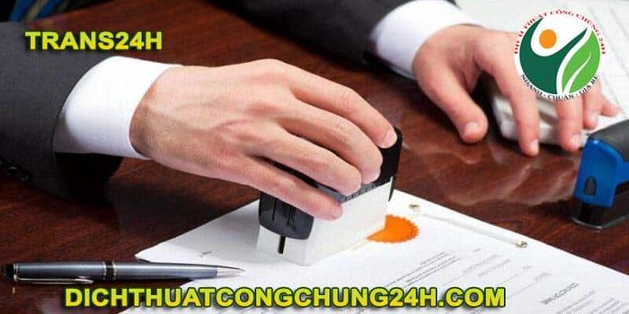 Hình ảnh độc quyền: Hành trình pháp lý cùng Trans24h