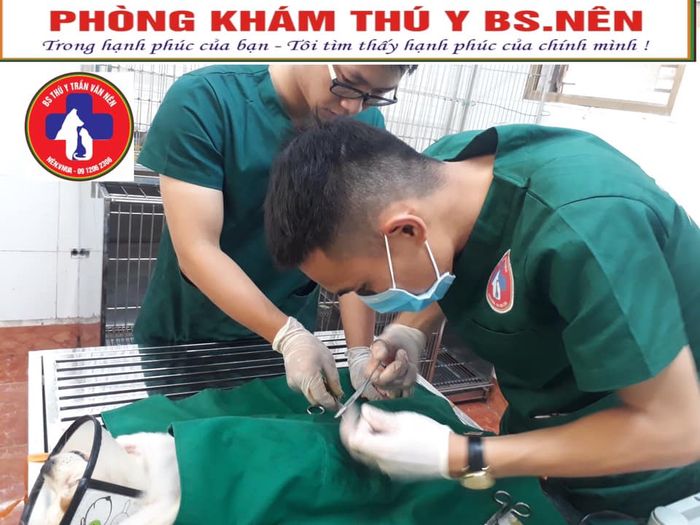 Không gian phòng khám hiện đại tại Thú y BS Nên