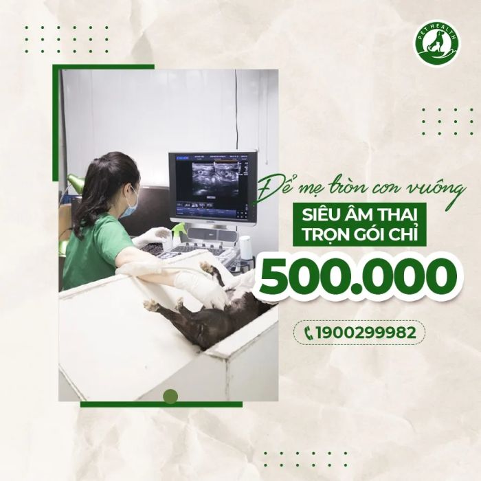 Khám phá không gian hiện đại và dịch vụ chuyên nghiệp tại Bệnh Viện Thú Y PetHealth Bắc Từ Liêm qua những hình ảnh ấn tượng.
