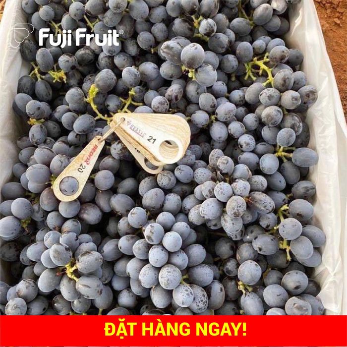 Không gian trưng bày đa dạng tại Fuji