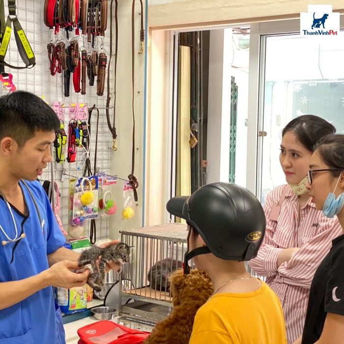Hình ảnh Phòng khám thú y Thành Vinh Pet - Không gian chăm sóc thú cưng hiện đại và thân thiện