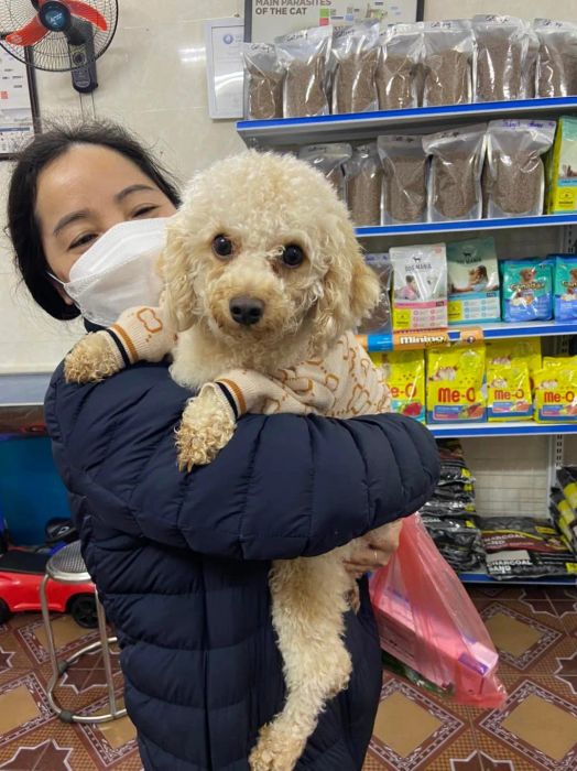 Hình ảnh thứ hai về Phòng Khám Thú Y Pet 24H - Địa chỉ chăm sóc thú cưng uy tín với dịch vụ 24/7 tiện lợi.
