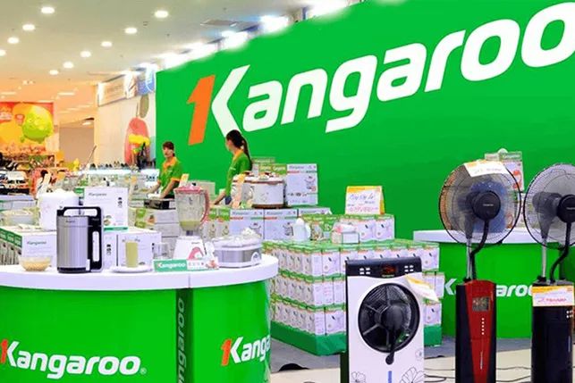 Kangaroo hình ảnh 1