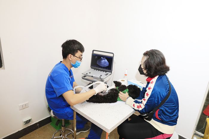 Hình ảnh Hệ thống Thú y 2Vet - Cơ sở vật chất hiện đại