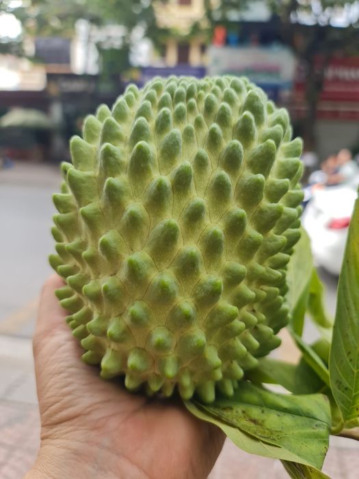 Khánh Linh Fruits hình ảnh 1