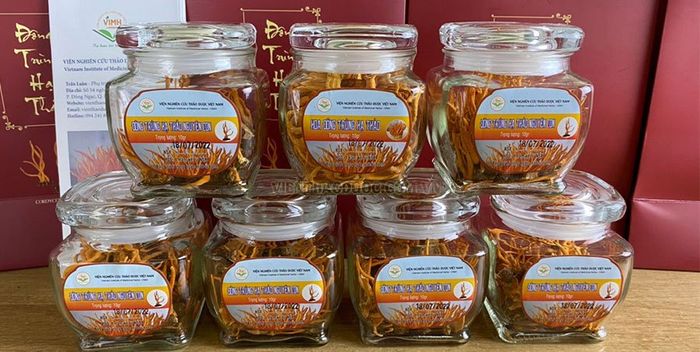 Viện Nghiên Cứu Thảo Dược Việt Nam - VIMH ảnh 1