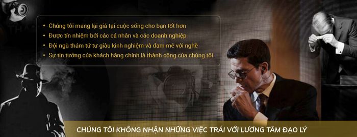 Hình ảnh minh họa Dịch vụ Thám tử Liên Việt 2
