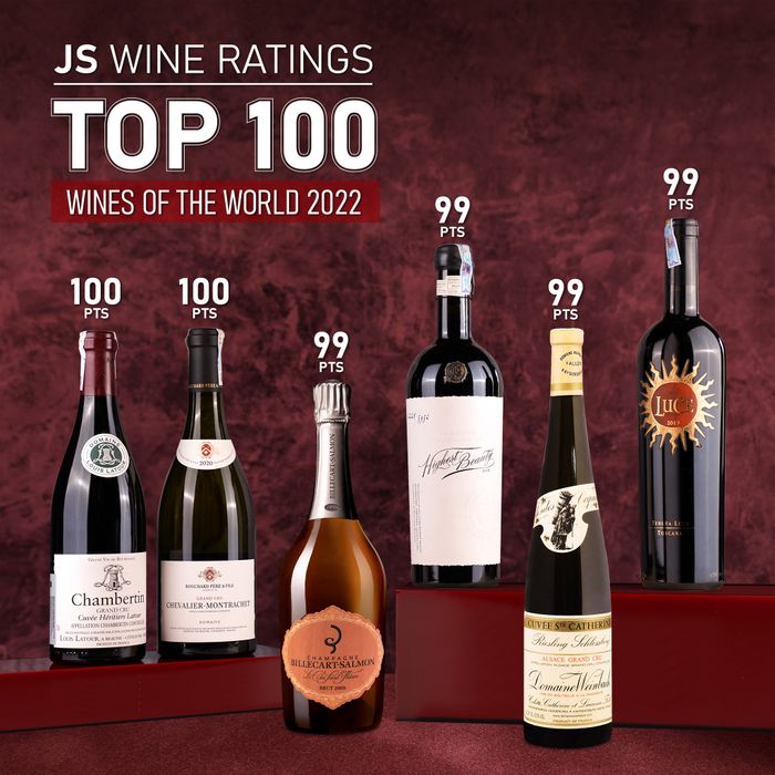 WINECELLAR.vn - ảnh 2