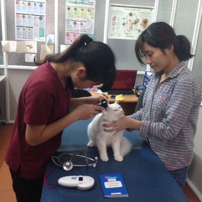 Đội ngũ bác sĩ chuyên nghiệp tại Happy Pet