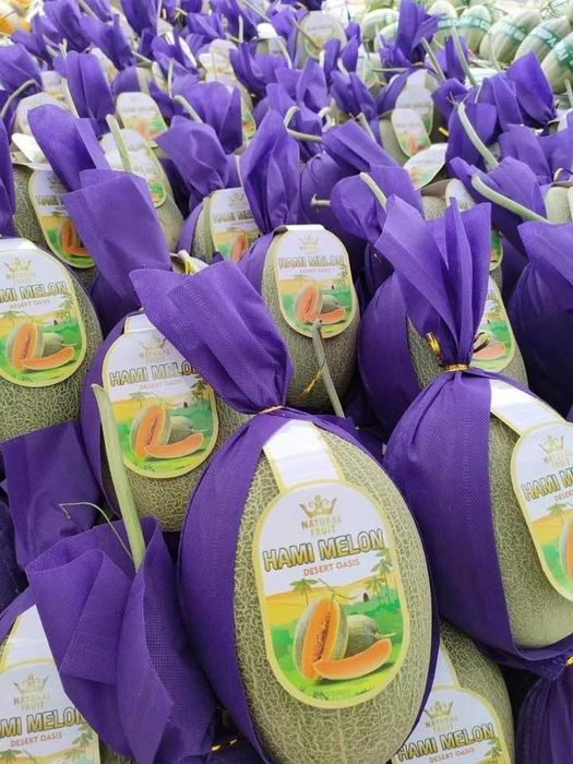Hương Ly - Bộ sưu tập trái cây đặc sản