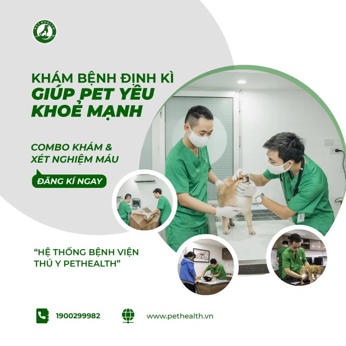 Không gian hiện đại tại Bệnh Viện Thú Y PetHealth Bắc Từ Liêm