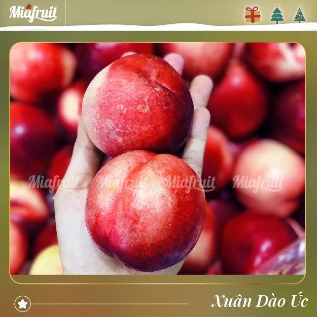 Bộ sưu tập trái cây đặc sắc tại Mia Fruit