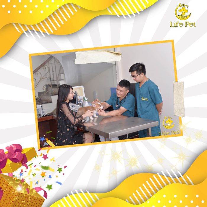 Hình ảnh không gian hiện đại tại Bệnh Viện Thú Y Lifepet