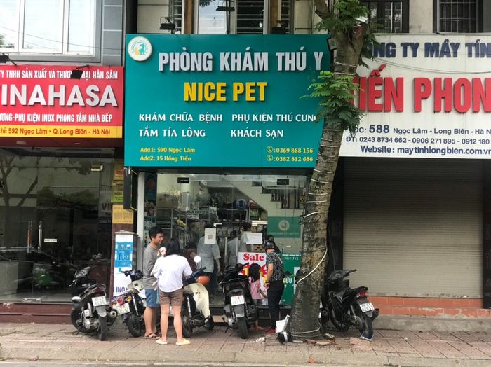 Không gian phòng khám Nice Pet - nơi chăm sóc thú cưng đáng tin cậy