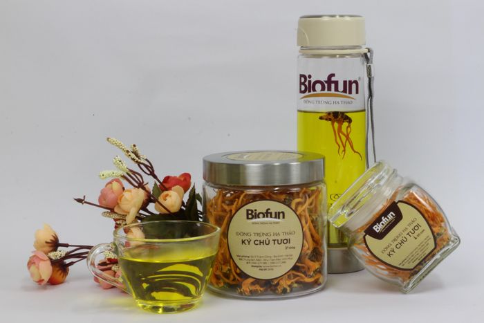 Đông Trùng Hạ Thảo BIOFUN ảnh 2