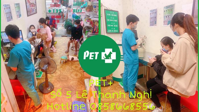 Hình ảnh Phòng khám thú y Pet +