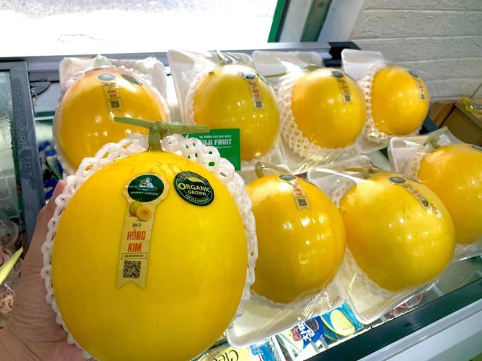 Không gian trưng bày hiện đại tại FUJI FRUIT