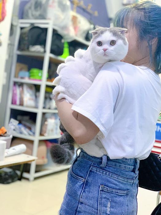 Hình ảnh đội ngũ bác sĩ tận tâm tại Bệnh Viện Thú Y Pet Share