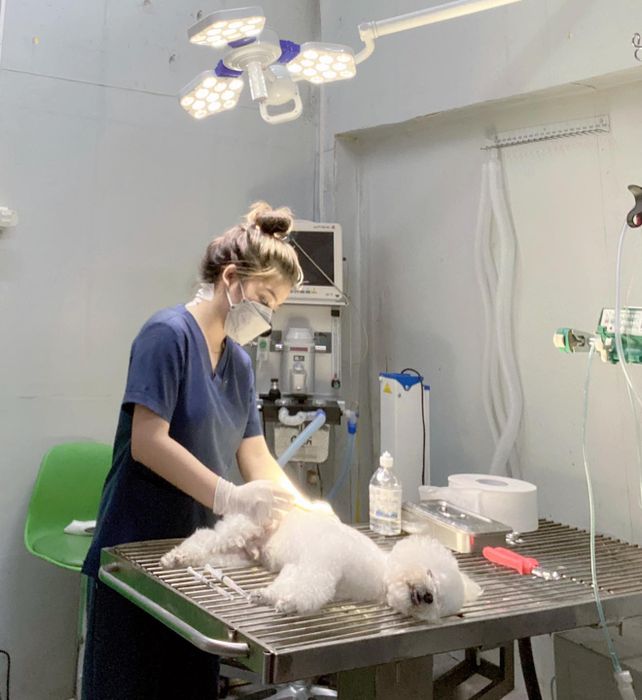 Hình ảnh Bệnh Viện Thú Y CoolPet - góc nhìn chân thực