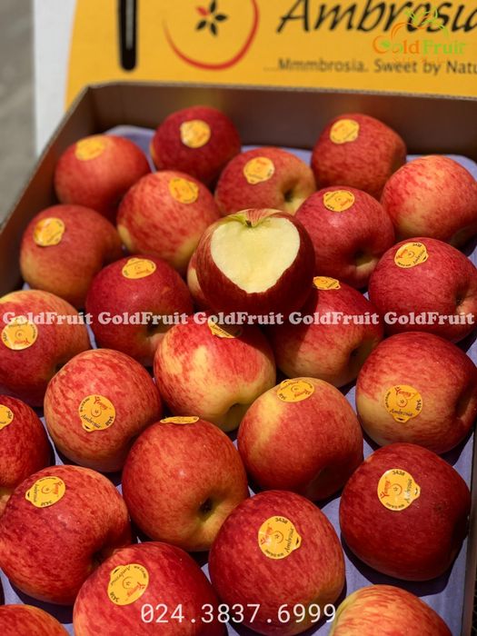 Gold Fruit - Không gian trái cây tươi ngon
