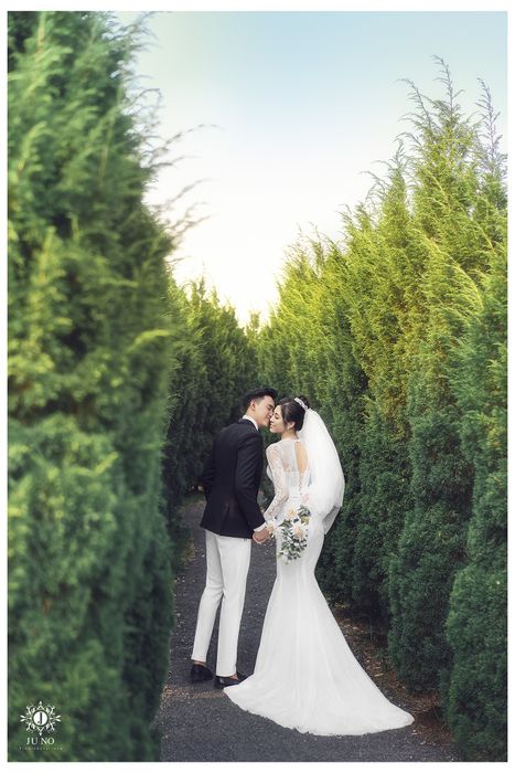 BST ảnh cưới đầy cảm xúc từ JUNO Wedding