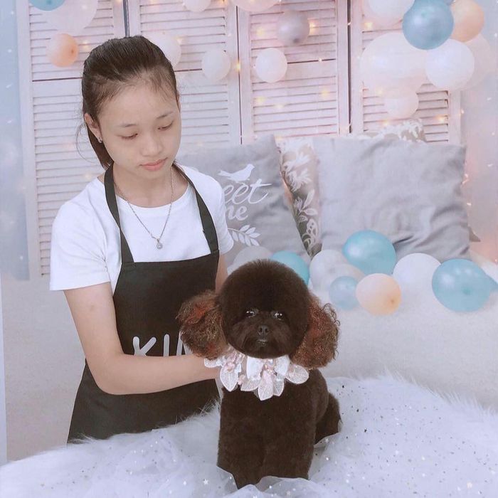Hình ảnh không gian phòng khám Poppy Pet - nơi chăm sóc toàn diện cho thú cưng